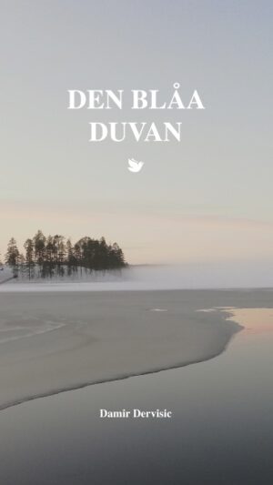 Den blåa duvan : SF novell på lätt svenska