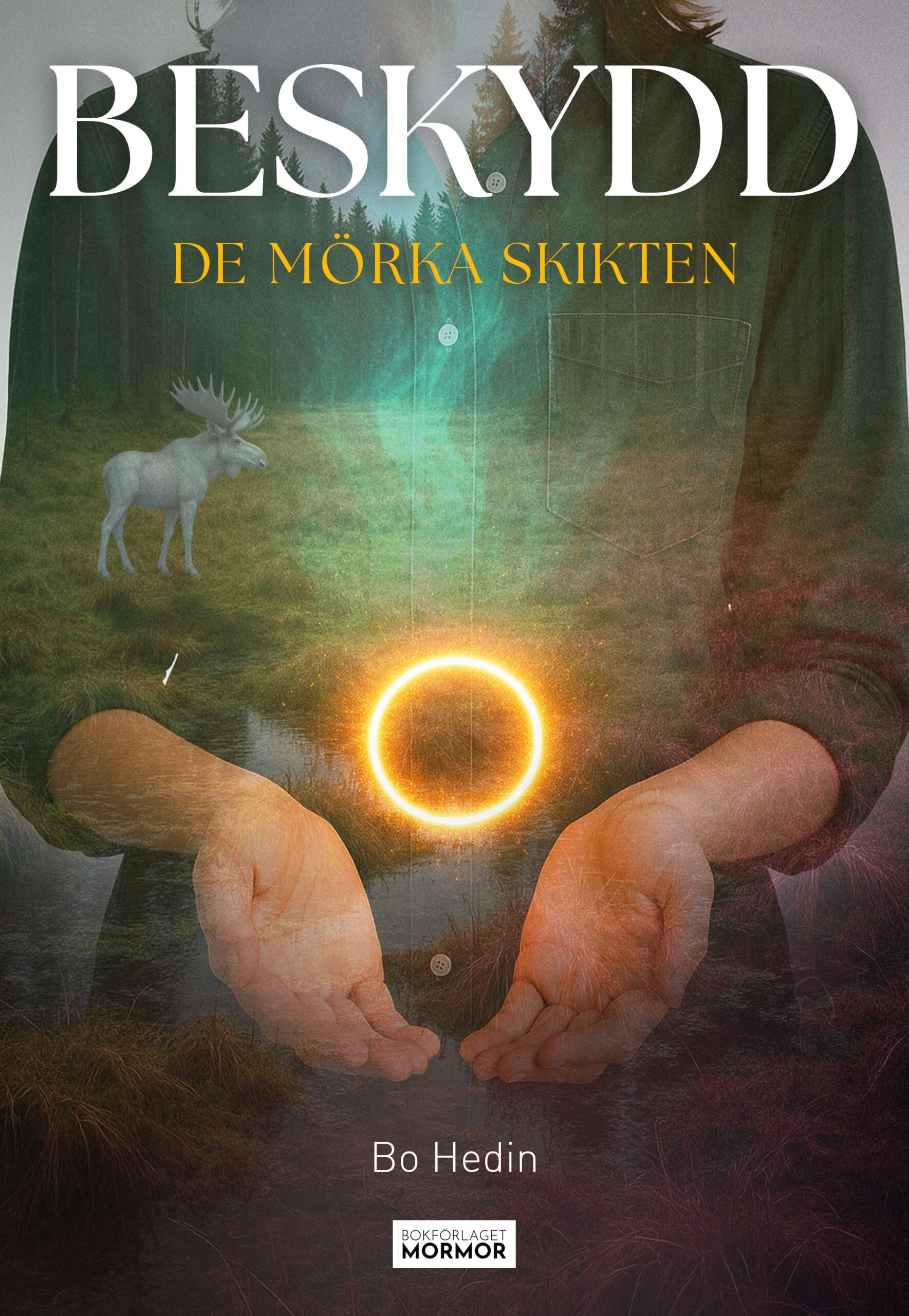 Beskydd : de mörka skikten Beskydd : de mörka skikten