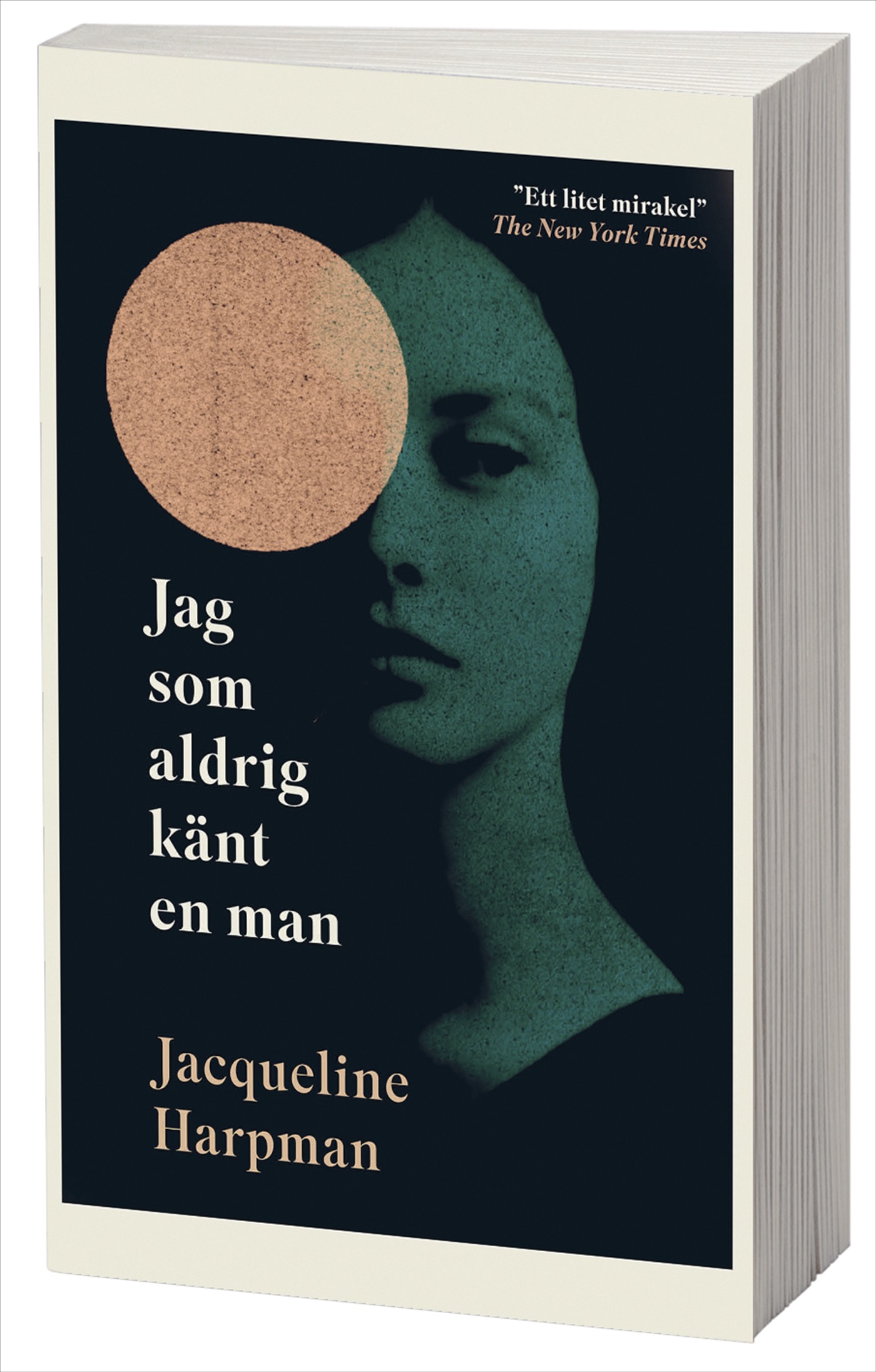 Jag som aldrig känt en man Jag som aldrig känt en man